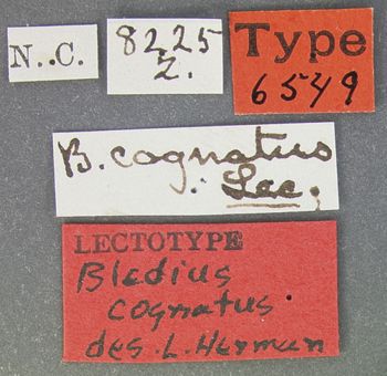 Media type: image;   Entomology 6549 Aspect: labels